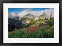 Indian Paintbrush Landscape Near The Tatoosh Range Fine Art Print