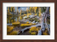 Horseshoe Lake Landscape In The Alpine Lakes Wilderness Fine Art Print