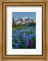 Wildflowers And Mt Rainier At Mazama Ridge Fine Art Print