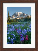 Wildflowers And Mt Rainier At Mazama Ridge Fine Art Print