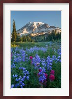 Wildflowers And Mt Rainier At Mazama Ridge Fine Art Print