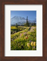 Paradise Area Landscape Of Mt Rainier National Park Fine Art Print