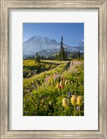 Paradise Area Landscape Of Mt Rainier National Park Fine Art Print