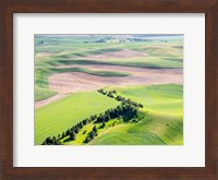 Aerial Shot In The Palouse Region Of Eastern Washington Fine Art Print