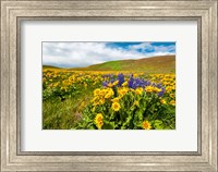 Spring Wildflowers Cover The Meadows At Columbia Hills State Park Fine Art Print