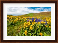 Spring Wildflowers Cover The Meadows At Columbia Hills State Park Fine Art Print