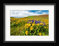 Spring Wildflowers Cover The Meadows At Columbia Hills State Park Fine Art Print