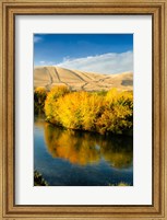 Autumn Color Along The Yakima River Fine Art Print
