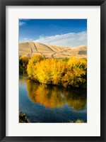 Autumn Color Along The Yakima River Fine Art Print