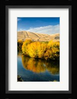 Autumn Color Along The Yakima River Fine Art Print