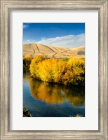 Autumn Color Along The Yakima River Fine Art Print