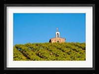 Malbec Grapes In A Vineyard, Washington Fine Art Print