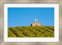 Malbec Grapes In A Vineyard, Washington Fine Art Print