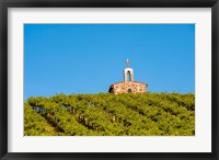 Malbec Grapes In A Vineyard, Washington Fine Art Print