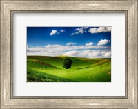 Rolling Wheat Field Landscape With A Lone Tree Fine Art Print