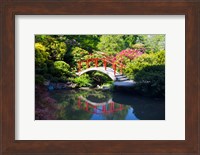 Moon Bridge In The Kubota Gardensm Washington State Fine Art Print