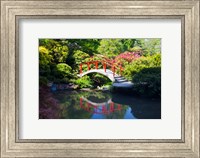 Moon Bridge In The Kubota Gardensm Washington State Fine Art Print