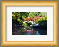 Moon Bridge In The Kubota Gardensm Washington State Fine Art Print