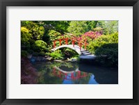 Moon Bridge In The Kubota Gardensm Washington State Framed Print