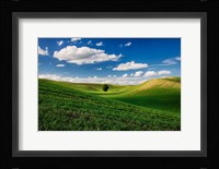 Rolling Wheat Fields With A Lone Tree Fine Art Print