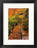 Autumn Maple Leaves On A Bridge Fine Art Print