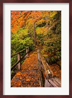 Autumn Maple Leaves On A Bridge Fine Art Print