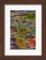 Lily Pads And Autumn Reflections At Babcock State Park Fine Art Print