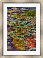 Lily Pads And Autumn Reflections At Babcock State Park Fine Art Print