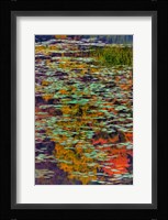 Lily Pads And Autumn Reflections At Babcock State Park Framed Print