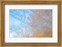 Frost Patterns Formed On Glass Fine Art Print
