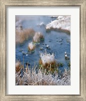 Frost Along White Creek, Wyoming Fine Art Print
