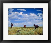 Wild Horses Near Farson, Wyoming Fine Art Print