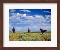 Wild Horses Near Farson, Wyoming Fine Art Print