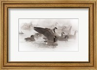 Artistic Shot Of Canadian Geese In The Mist Fine Art Print