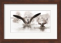 Canadian Geese Land In A Winter's Pond Fine Art Print