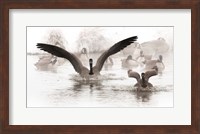 Canadian Geese Land In A Winter's Pond Fine Art Print