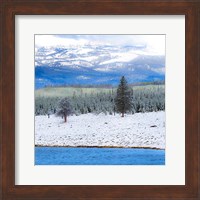 Yellowstone National Park In Winter, Wyoming Fine Art Print