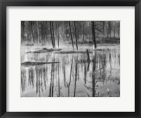 Mistry Creek, Wyoming (BW) Fine Art Print