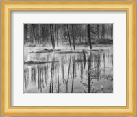 Mistry Creek, Wyoming (BW) Fine Art Print