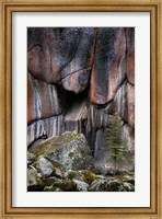 Lichen On Cliff Walls With Single A Tree In The Lamar River Gorge Fine Art Print