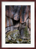 Lichen On Cliff Walls With Single A Tree In The Lamar River Gorge Fine Art Print
