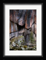 Lichen On Cliff Walls With Single A Tree In The Lamar River Gorge Fine Art Print
