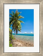 Coast Around Merizo, Guam Fine Art Print