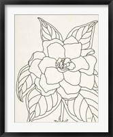 Gardenia Line Drawing Crop Fine Art Print