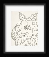 Gardenia Line Drawing Crop Fine Art Print
