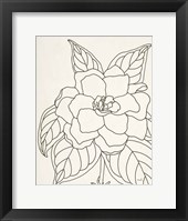 Gardenia Line Drawing Crop Framed Print