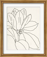 Magnolia Line Drawing v2 Crop Fine Art Print