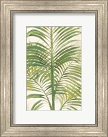 Palms II Bright Fine Art Print