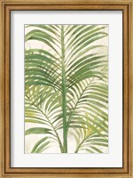 Palms II Bright Fine Art Print