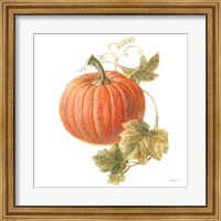 Floursack Autumn VIII on White Fine Art Print